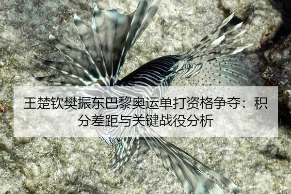 wang-chu-qin-fan-zhen-dong-ba-li-ao-yun-dan-da-zi-ge-zheng-duo-ji-fen-cha-ju-yu-guan-jian-zhan-yi-fen-xi-3-138.jpg